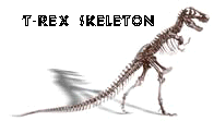 T-Rex skeleton